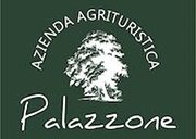 logo-palazzone2